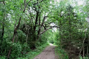 2651 New Century Blvd S, Maplewood, MN 55119 - Photo 35