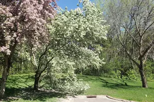 2651 New Century Blvd S, Maplewood, MN 55119 - Photo 35