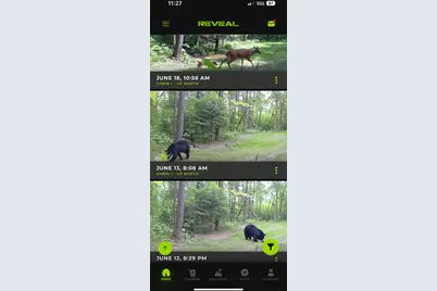 67246 340th Avenue, Hill City, MN 55748 - Photo 15