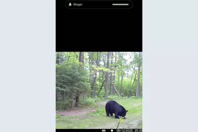 67246 340th Avenue, Hill City, MN 55748 - Photo 19