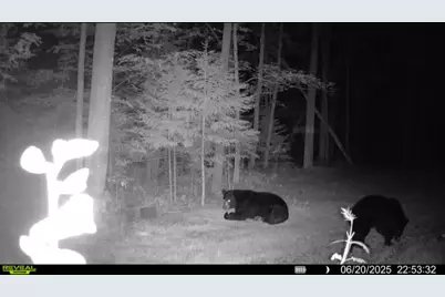 67246 340th Avenue, Hill City, MN 55748 - Photo 19