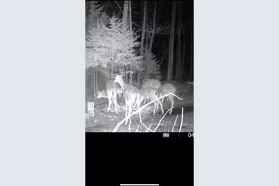 67246 340th Avenue, Hill City, MN 55748 - Photo 13