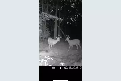 67246 340th Avenue, Hill City, MN 55748 - Photo 13