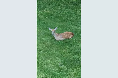 34644 Yak Street NW, Princeton, MN 55371 - Photo 37