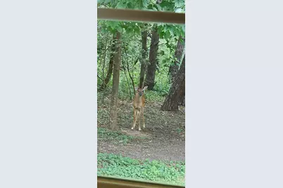 34644 Yak Street NW, Princeton, MN 55371 - Photo 39