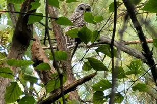 34644 Yak St NW, Princeton, MN 55371 - Photo 39