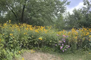 1929 Margaret St, Saint Paul, MN 55119 - Photo 53