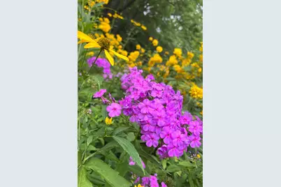 1929 Margaret Street, Saint Paul, MN 55119 - Photo 55