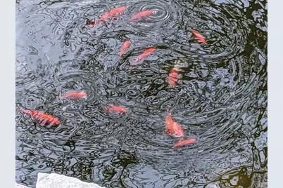 608 Fairview Circle, Farmington, MN 55024 - Photo 31