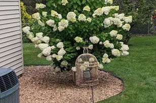 608 Fairview Cir, Farmington, MN 55024 - Photo 33