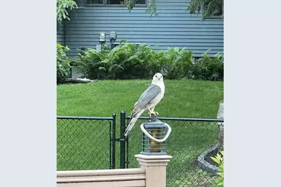 608 Fairview Circle, Farmington, MN 55024 - Photo 35