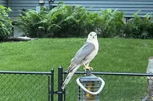 608 Fairview Cir, Farmington, MN 55024 - Photo 35