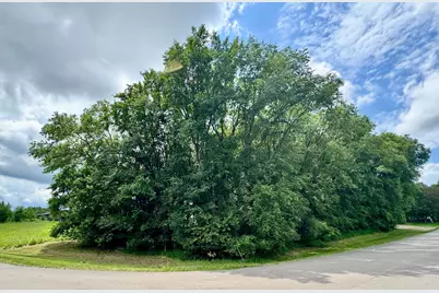 Tbd 161st Avenue NE, New London, MN 56273 - Photo 9