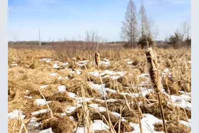 8979 Parkview Circle, Chisago City, MN 55013 - Photo 43