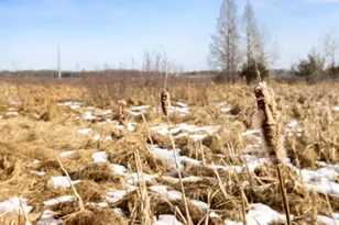 8979 Parkview Cir, Chisago City, MN 55013 - Photo 43