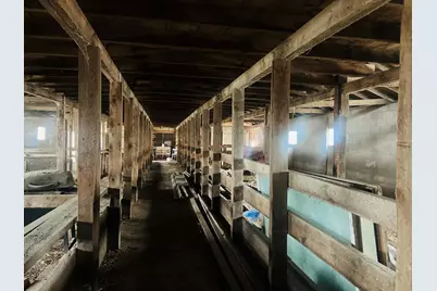 53007 140th Street, Donnelly, MN 56235 - Photo 35