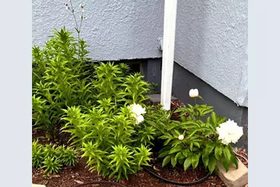 215 3rd Street NW, Wadena, MN 56482 - Photo 3