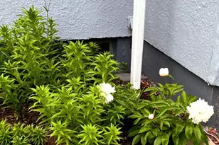 215 3rd St NW, Wadena, MN 56482 - Photo 3