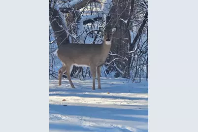 12118 Bluebird Circle NW, Coon Rapids, MN 55448 - Photo 25