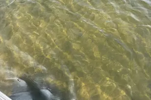 1511 S Lake Dr, Shell Lake, WI 54871 - Photo 81