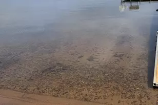 1511 S Lake Dr, Shell Lake, WI 54871 - Photo 79