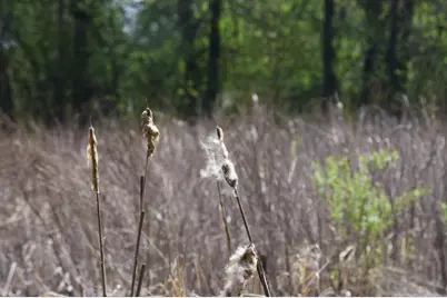 1405 Hamel Road, Medina, MN 55340 - Photo 7