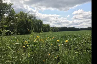 1405 Hamel Rd, Medina, MN 55340 - Photo 1