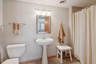 7406 Moccasin Trail, Chanhassen, MN 55317 - Photo 43