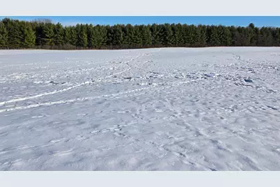 20.05 Acres County Road N, Wheeler, WI 54772 - Photo 3