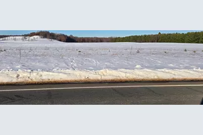 20.05 Acres County Road N, Wheeler, WI 54772 - Photo 9