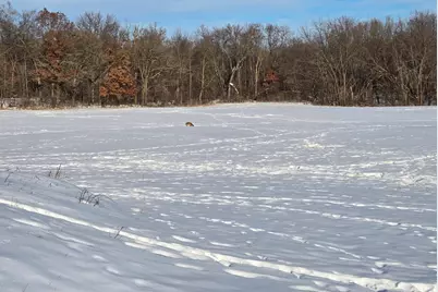 20.05 Acres County Road N, Wheeler, WI 54772 - Photo 5