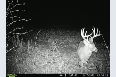 20.05 Acres County Road N, Wheeler, WI 54772 - Photo 11