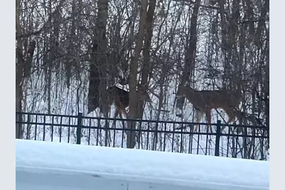 1020 Fernbrook Lane N, Plymouth, MN 55447 - Photo 39