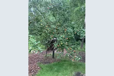 1020 Fernbrook Lane N, Plymouth, MN 55447 - Photo 37