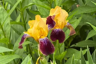 937 Laurel Ave, Saint Paul, MN 55104 - Photo 57