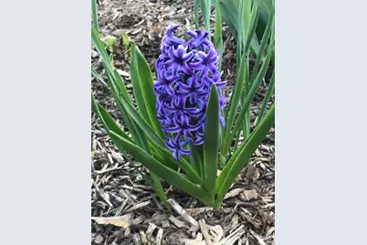 937 Laurel Avenue, Saint Paul, MN 55104 - Photo 53