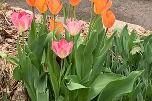 937 Laurel Ave, Saint Paul, MN 55104 - Photo 51