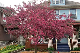 937 Laurel Ave, Saint Paul, MN 55104 - Photo 45