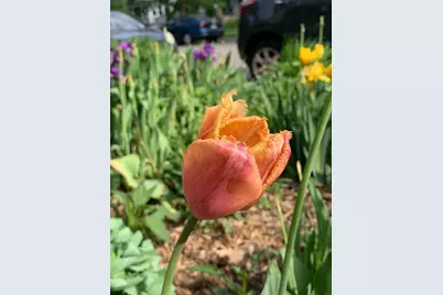 937 Laurel Avenue, Saint Paul, MN 55104 - Photo 49