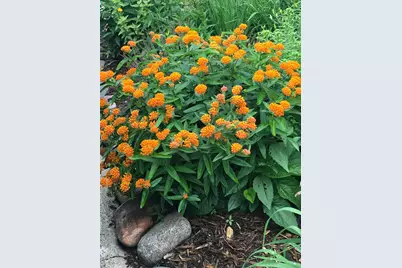 937 Laurel Avenue, Saint Paul, MN 55104 - Photo 51