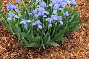 937 Laurel Ave, Saint Paul, MN 55104 - Photo 55