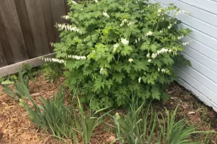 937 Laurel Ave, Saint Paul, MN 55104 - Photo 53