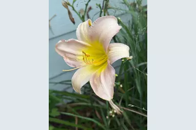 937 Laurel Avenue, Saint Paul, MN 55104 - Photo 55