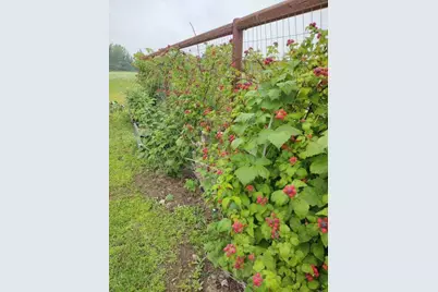 47260 Wintergreen Road, Perham, MN 56573 - Photo 73