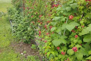 47260 Wintergreen Rd, Perham, MN 56573 - Photo 73