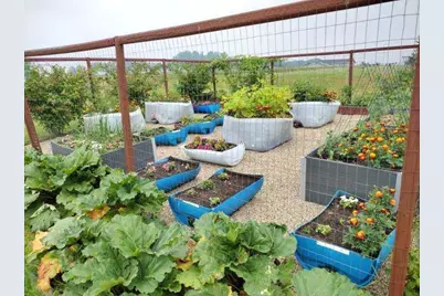 47260 Wintergreen Road, Perham, MN 56573 - Photo 67