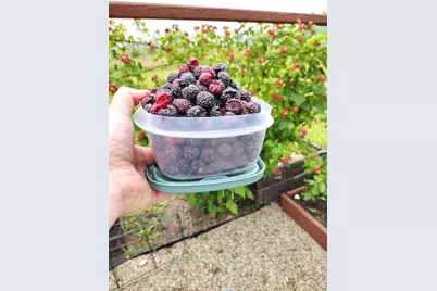 47260 Wintergreen Road, Perham, MN 56573 - Photo 69