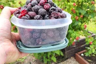 47260 Wintergreen Rd, Perham, MN 56573 - Photo 69