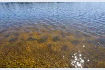 2891 W Todd Park Road, Sarona, WI 54870 - Photo 55