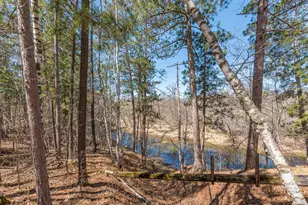 3702 Gull River Trail, Brainerd, MN 56401 - Photo 65